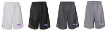 Load image into Gallery viewer, Iron PD Psych Domain Mens Mesh Shorts with Iron PD logo
